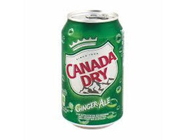 CANADA DRY 24X33CL