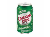 CANADA DRY 24X33CL