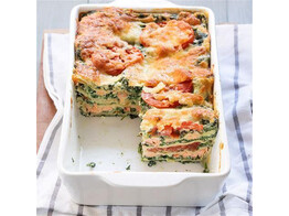 DELI MEAL LASAGNE ZALM SPINAZIE 6X500GR