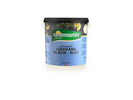 VDM SALADE DRESSING LOUISIANA BLAUW 10L