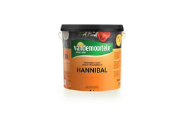 VDM HANNIBAL 10L VDM