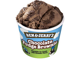 BEN JERRY CHOCOLADE FUDGE BROWNIE 100ML