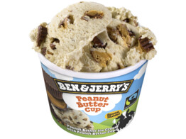 BEN JERRY PEANUTBUTTER CUP 12X100ML