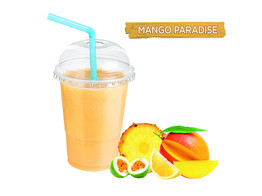 SMOOTHIE 6 MANGO PARADISE15x150gr