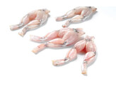 CUISSE DE GRENOUILLE 13/15  1KG