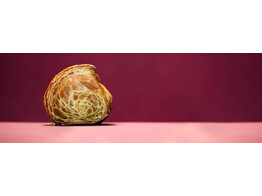 PASTRIDOR CROISSANT RECHT  223805 