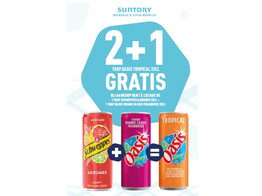 2 1   1xSCHWEPPES AGRUM SLEEK   1x OASIS APPEL-CASSIS   1 OASIS TROPICAL GRATUIT