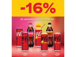 COCA-COLA LEMON 24X0.33 SLEEK